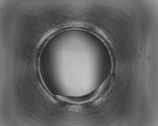 X0000086061312200703301030