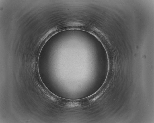 X0000086061313200703301030