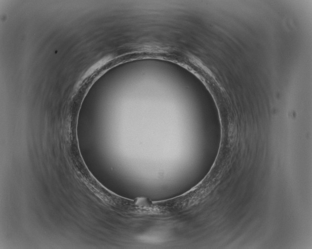 X0000086061315200703301031