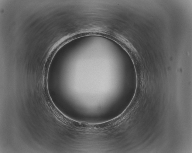 X0000086061316200703301031