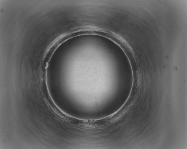 X0000086061318200703301031