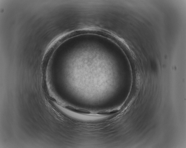 X0000086061319200703301031