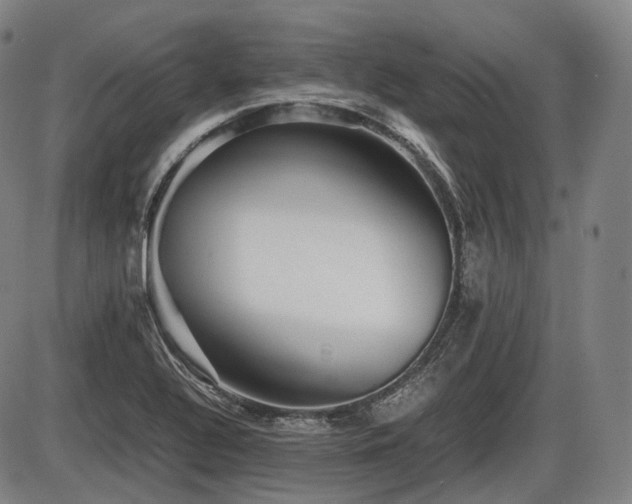 X0000086061320200703301031