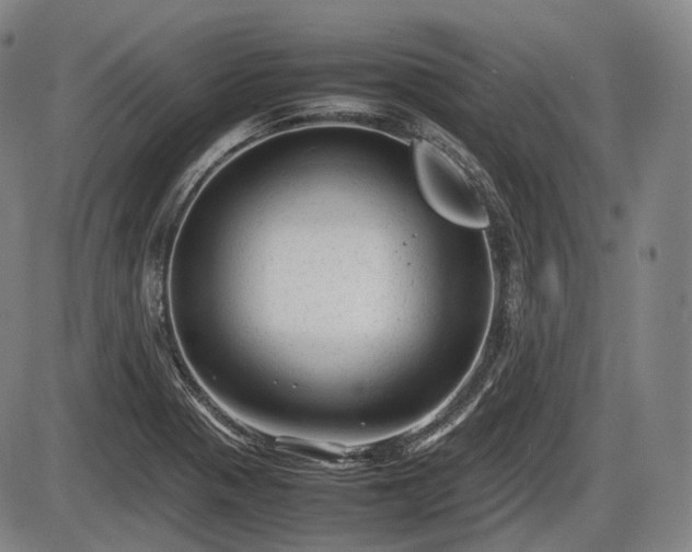 X0000086061321200703301031