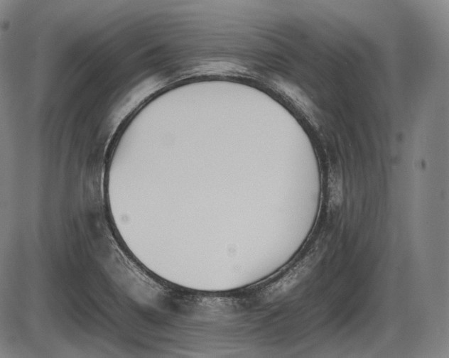 X0000086061322200703301031