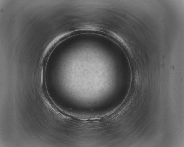 X0000086061323200703301031