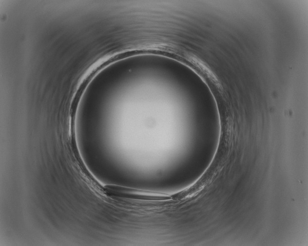 X0000086061324200703301031