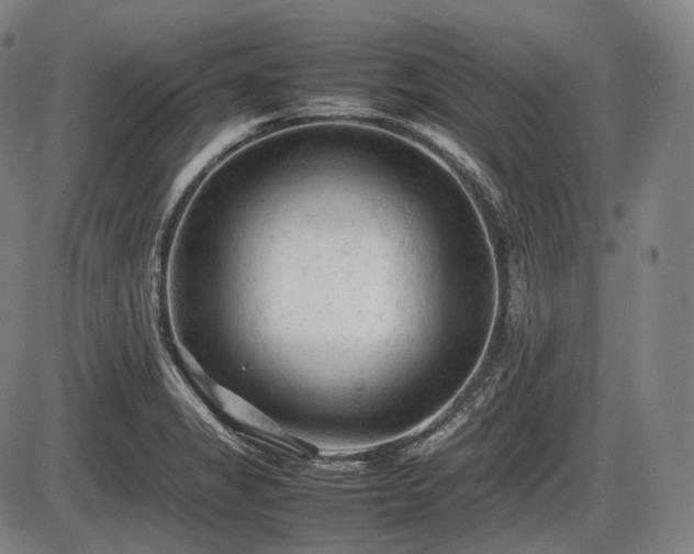 X0000086061325200703301031