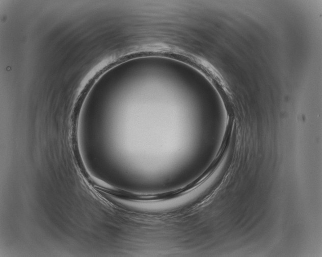 X0000086061326200703301031