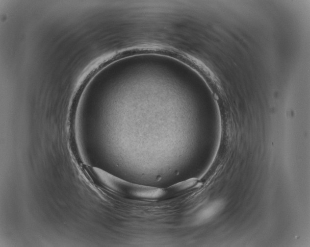 X0000086061327200703301031