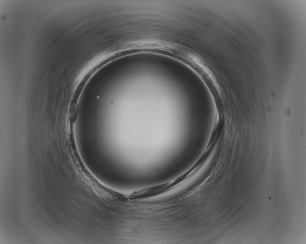 X0000086061328200703301031