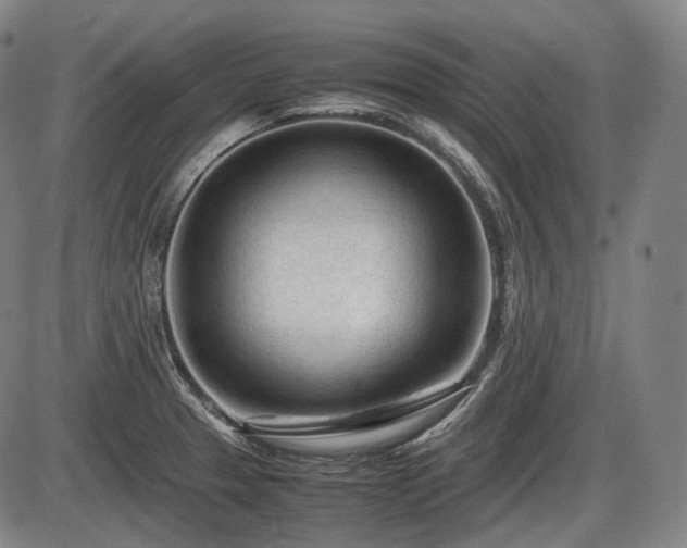 X0000086061329200703301031