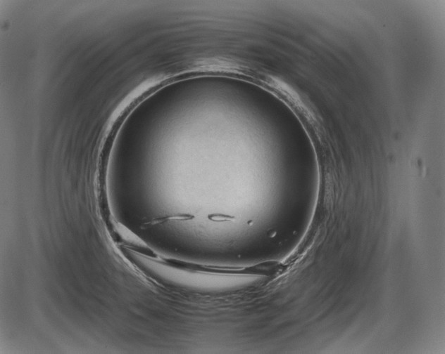 X0000086061331200703301031