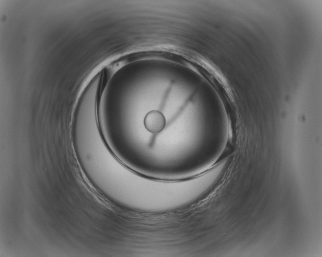 X0000086061332200703301031