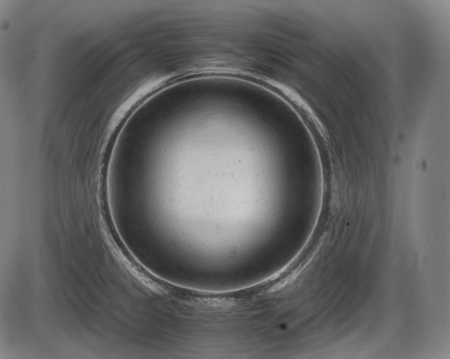 X0000086061333200703301031