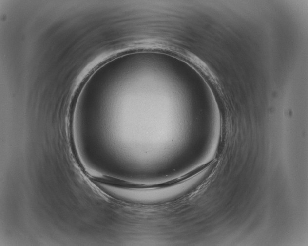 X0000086061334200703301031