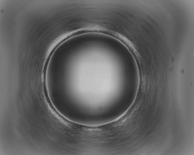 X0000086061335200703301031