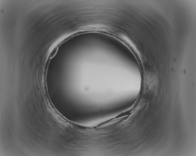 X0000086061336200703301031