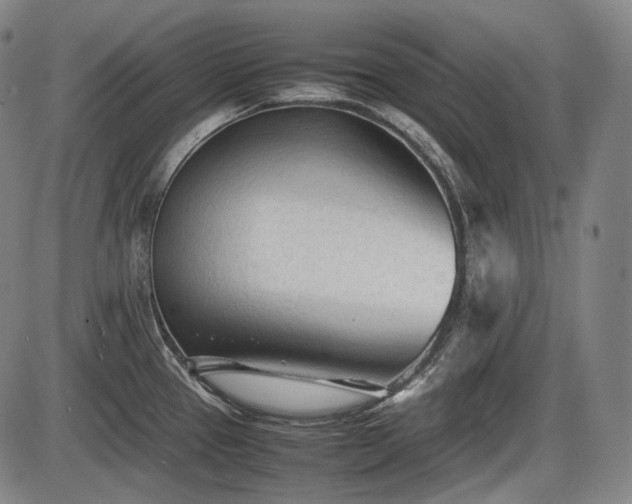 X0000086061337200703301031