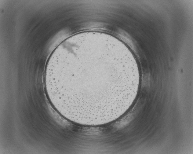 X0000086061338200703301031