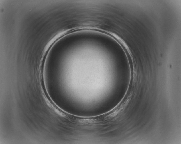 X0000086061341200703301031