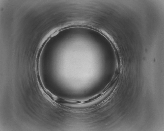 X0000086061342200703301031