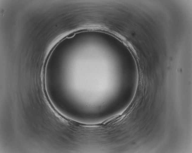 X0000086061343200703301031