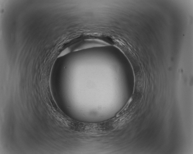 X0000086061345200703301030