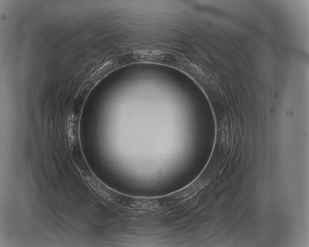 X0000086061346200703301030