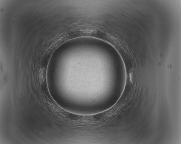 X0000086061347200703301030