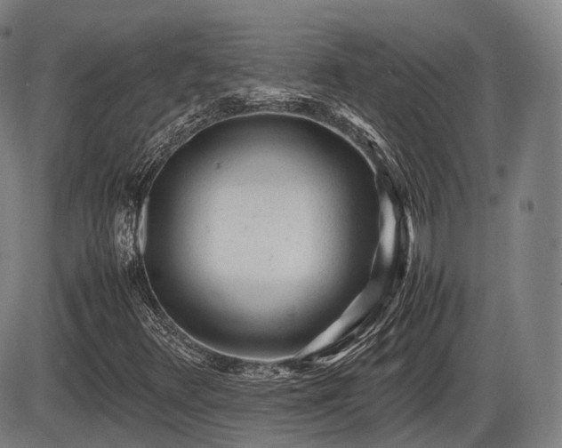 X0000086061348200703301030