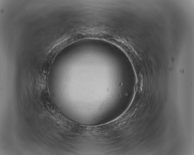 X0000086061350200703301030