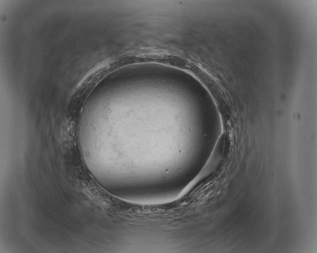 X0000086061351200703301030