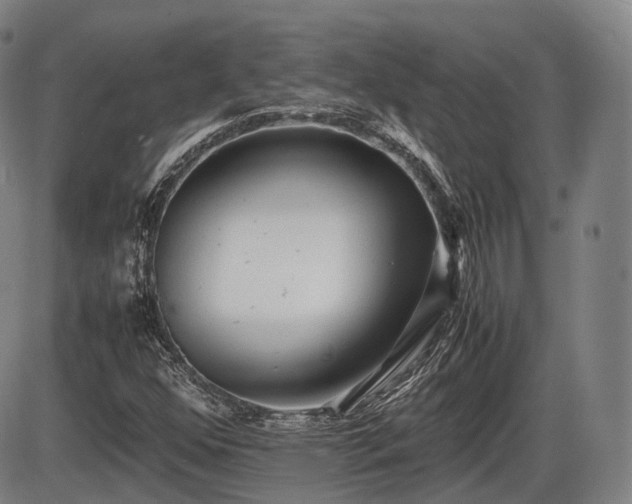 X0000086061352200703301030