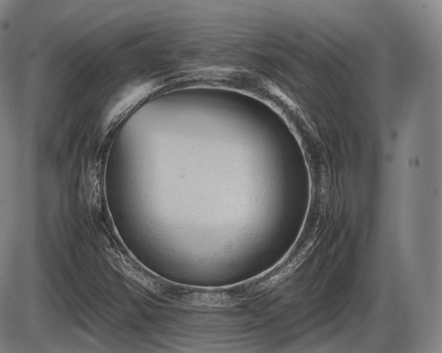 X0000086061354200703301030