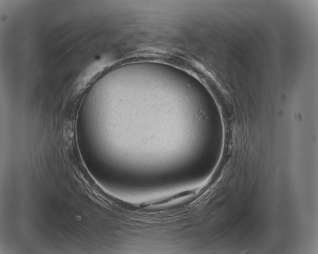 X0000086061355200703301030