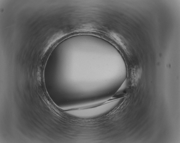 X0000086061356200703301030