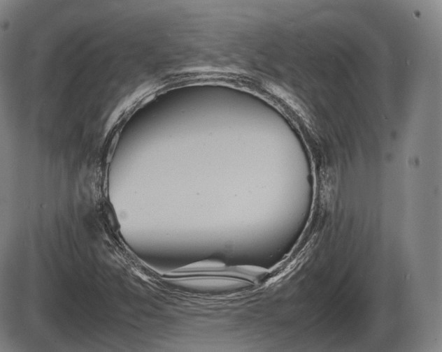 X0000086061357200703301030