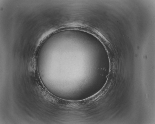 X0000086061358200703301030