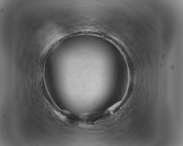 X0000086061359200703301030