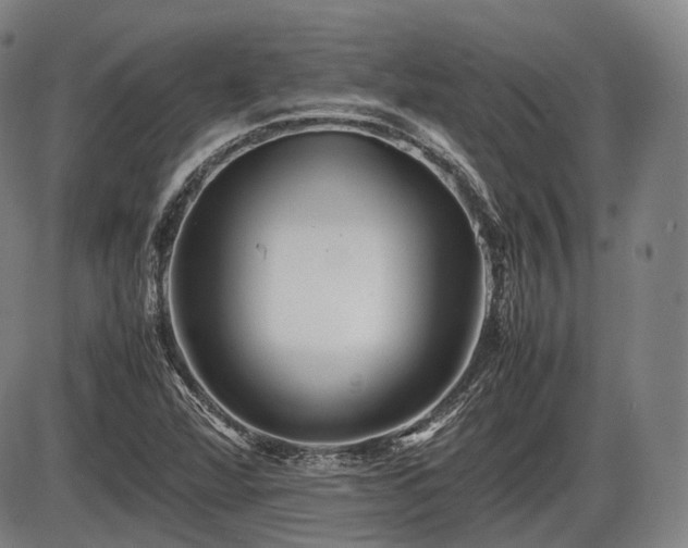 X0000086061360200703301030