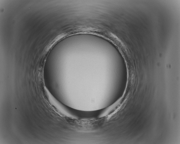 X0000086061361200703301030