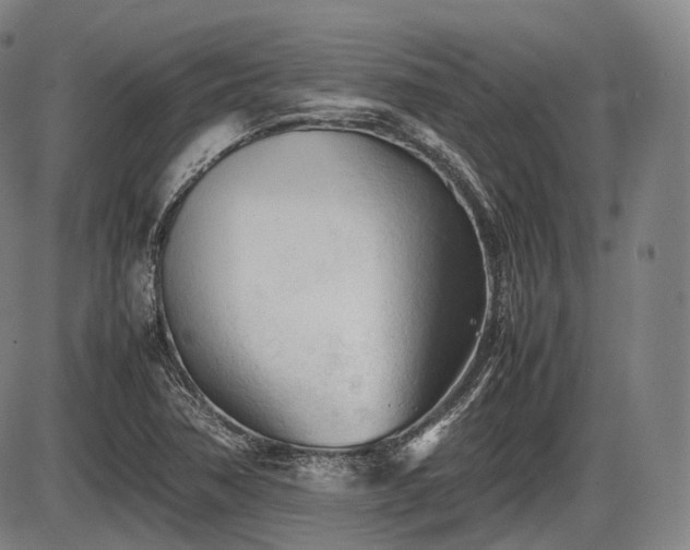 X0000086061362200703301030