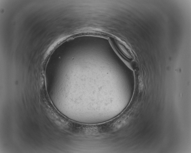 X0000086061363200703301030