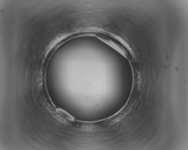 X0000086061364200703301030