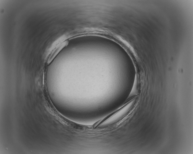 X0000086061365200703301030