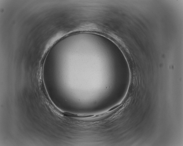 X0000086061366200703301030