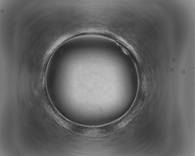 X0000086061367200703301030