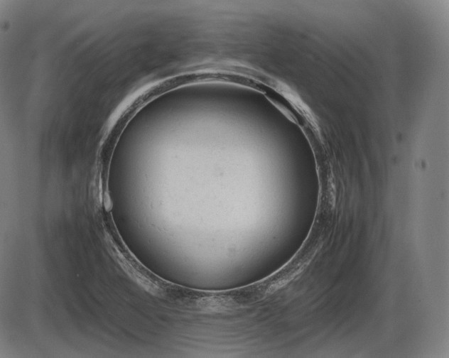 X0000086061368200703301030