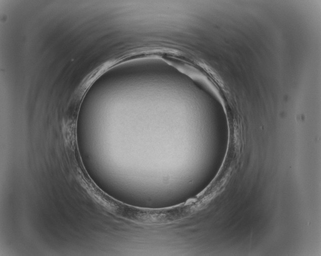 X0000086061369200703301030